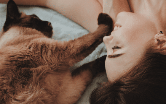 How Do Cats Show Affection? Here Are The Signs