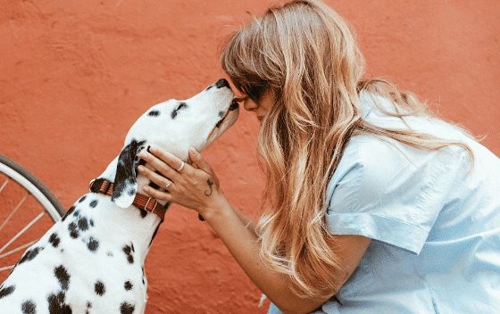 8 Ways Your Dog Is Telling You He Loves You